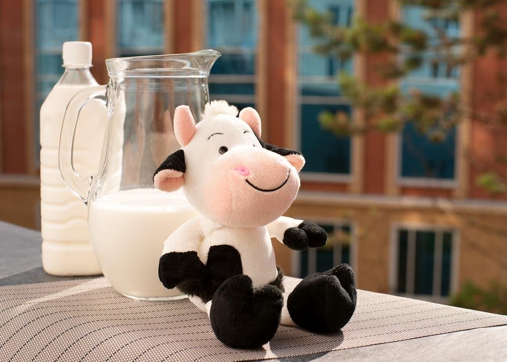 farm-cow-milk-delivery