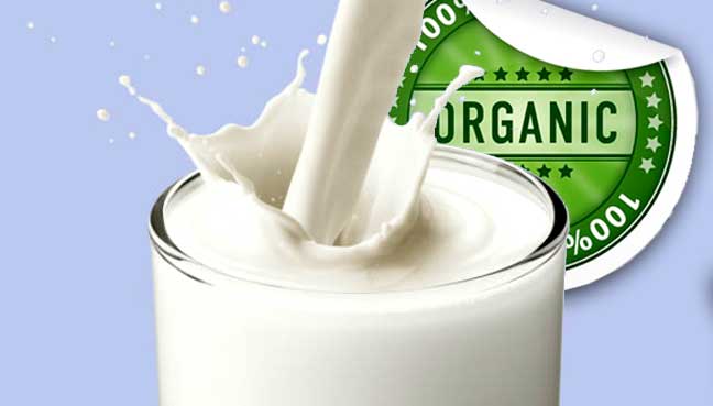 Organic-Cow-Milk-Gurgaon