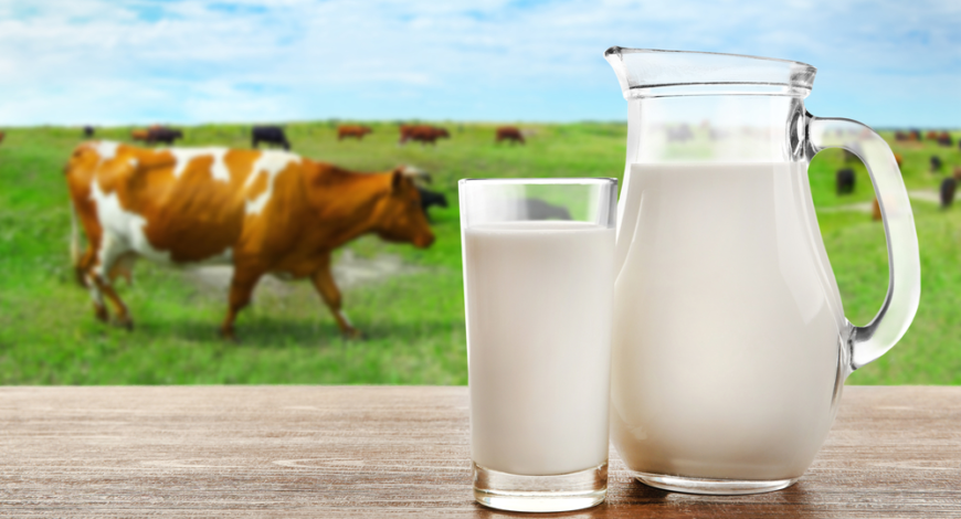 Best Organic Milk
