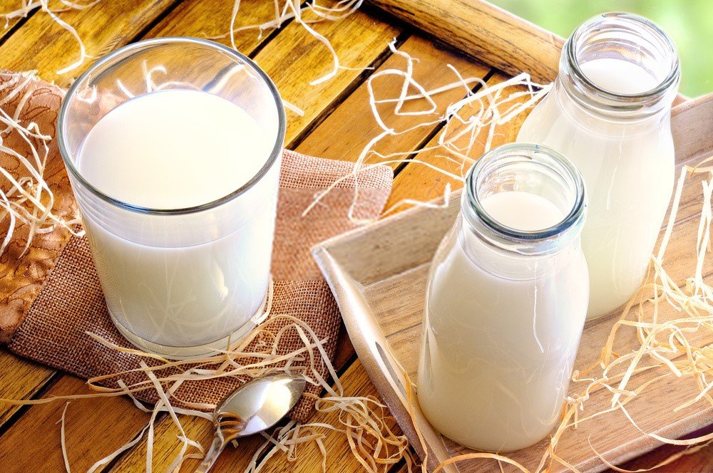 Best-Organic-Milk Milk Delivery In Gurgaon